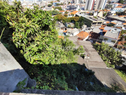 Image 17 - 1021913