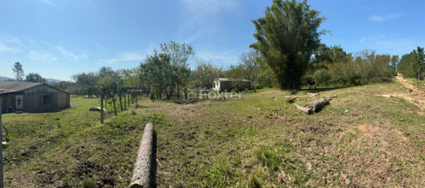 Image 7 - 1022836