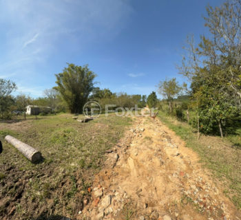 Image 8 - 1022836