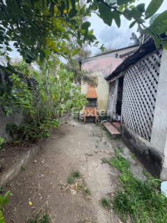 Image 12 - 1022846