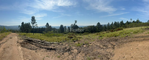 Image 7 - 1022949