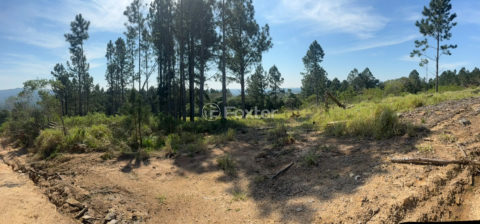 Image 4 - 1022949