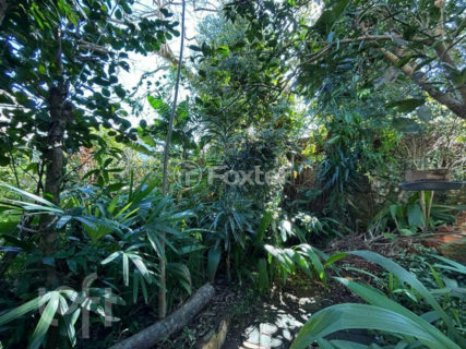 Image 33 - 1023362