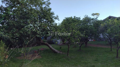 Image 29 - 1023574
