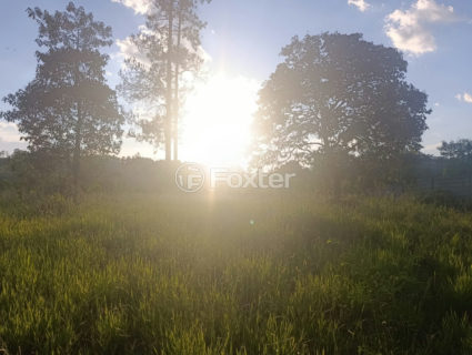 Image 1 - 1023781