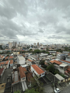 Image 7 - 1023846