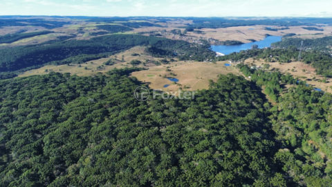 Image 5 - 1023894