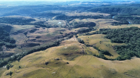 Image 6 - 1023894