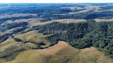 Image 4 - 1023894