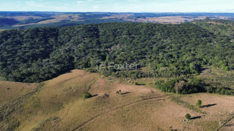 Image 2 - 1023894