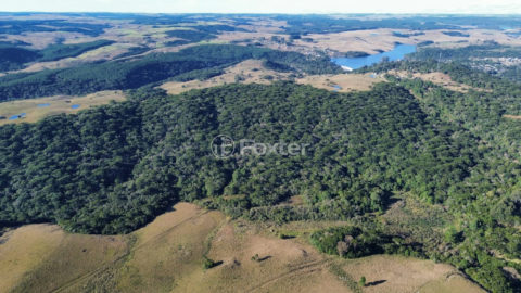 Image 7 - 1023894
