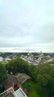 Image 41 - 1024196