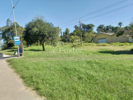 Image 3 - 1024262