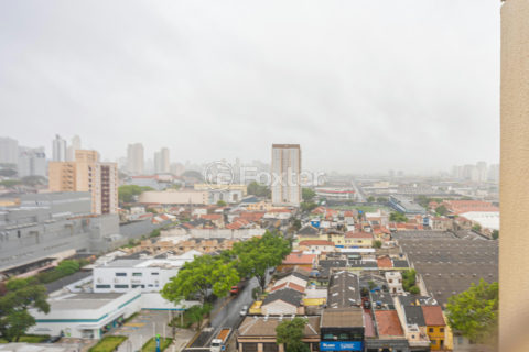 Image 4 - 1024728