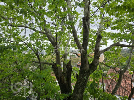 Image 16 - 1024775