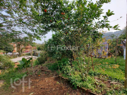 Image 16 - 1024843