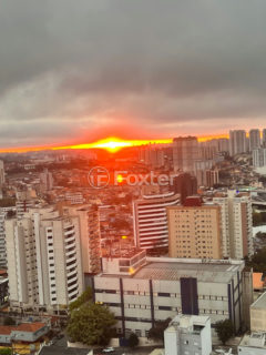 Image 37 - 1024974