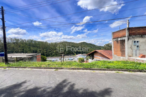 Image 0 - 1029481