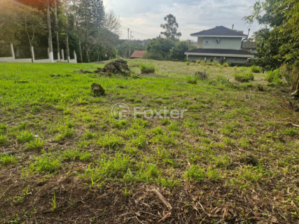 Image 1 - 1037391