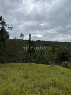Image 0 - 1041056
