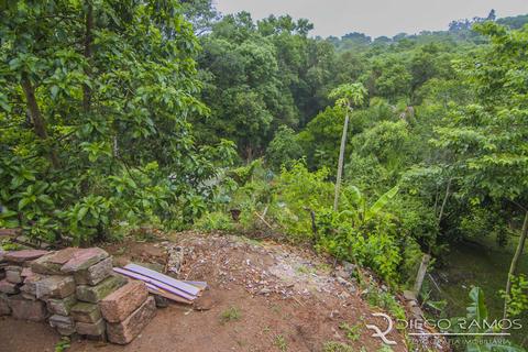 Image 27 - 118123