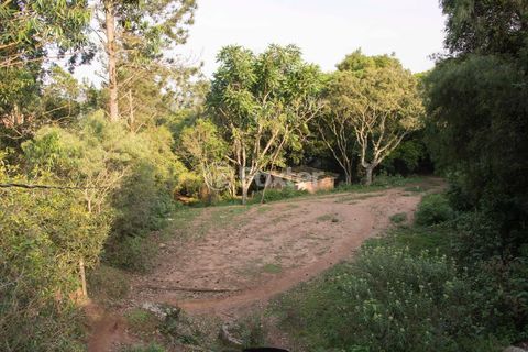 Image 20 - 119991