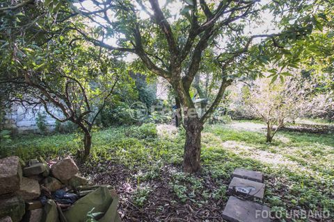 Image 37 - 125338