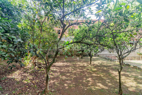 Image 58 - 130339