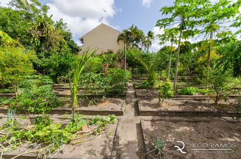 Image 74 - 177579