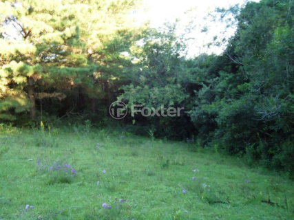 Image 33 - 179043