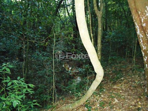 Image 44 - 179043