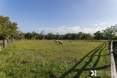 Image 47 - 181926