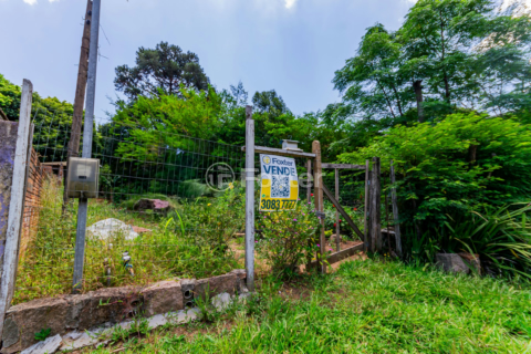 Image 44 - 194445