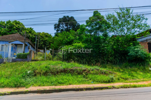 Image 43 - 194445