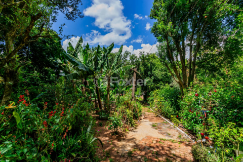 Image 23 - 194445