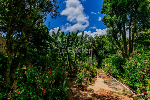 Image 24 - 194445