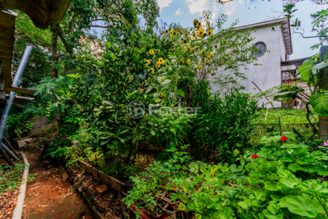 Image 36 - 194445