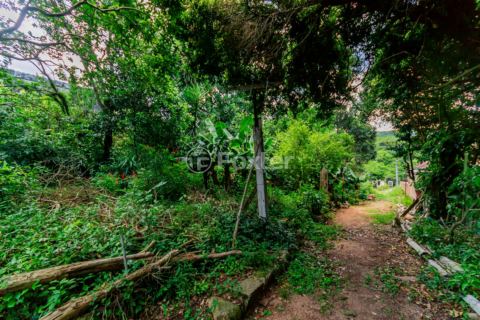 Image 40 - 194445