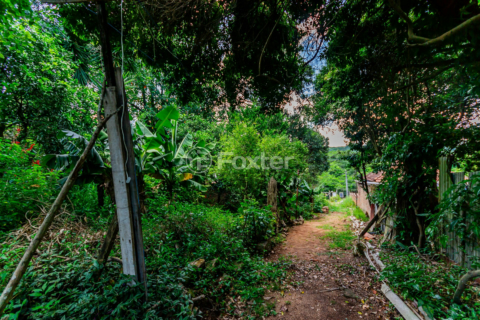 Image 41 - 194445