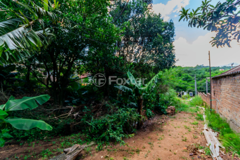 Image 42 - 194445