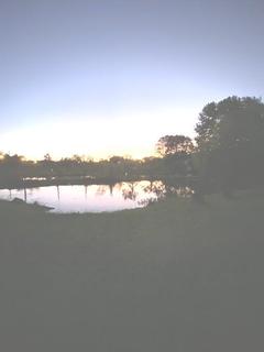 Image 23 - 200381