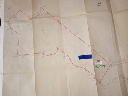 Image 35 - 202137