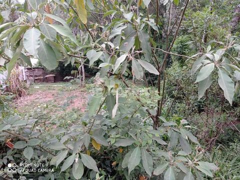 Image 1 - 204216