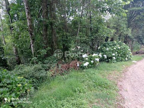 Image 5 - 204216