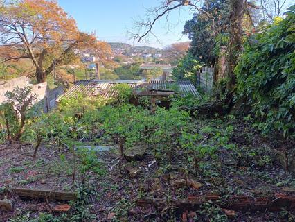 Image 6 - 210377