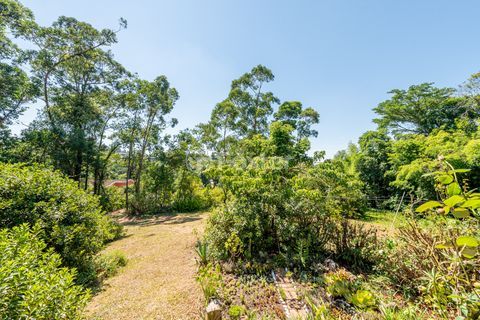 Image 25 - 220762