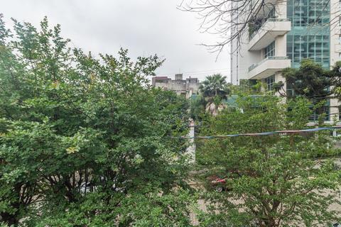 Image 38 - 223556