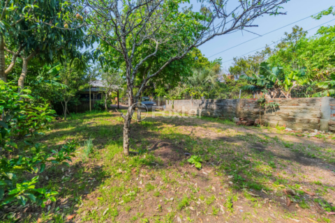 Image 35 - 225223