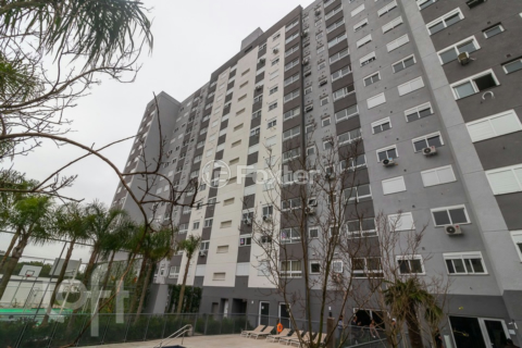 Image 43 - 233611