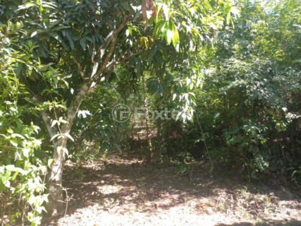 Image 58 - 241438